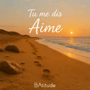 Pochette d'album Tu me dis Aime