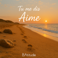 Pochette d'album Tu me dis Aime